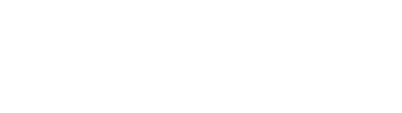Japanese Technology and The future